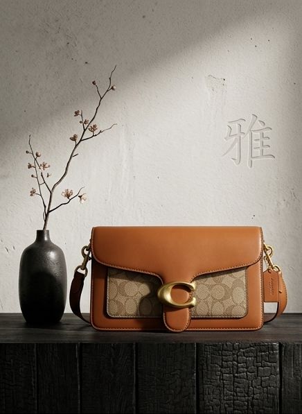 Luxury Brown Purse